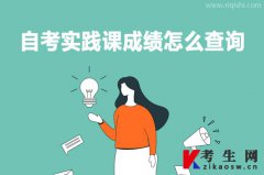 自考实践课成绩怎么查询？